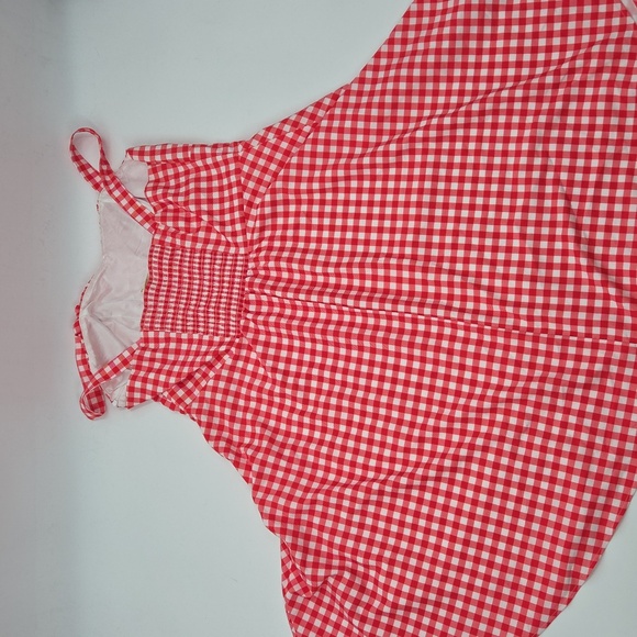 Red Plus Size Gingham Fit and Flare Dress - Picture 16 of 16